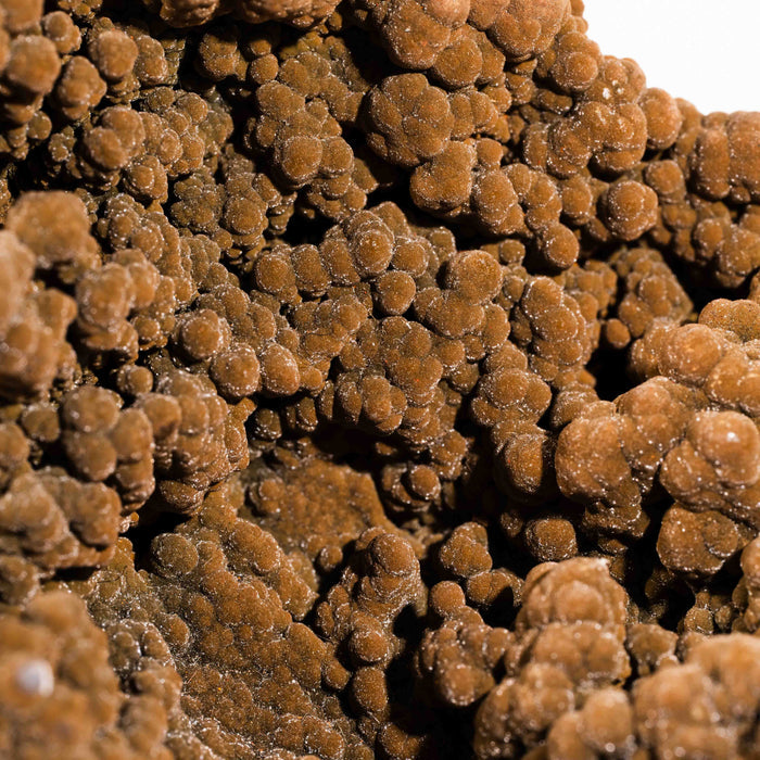Mottramite Specimen