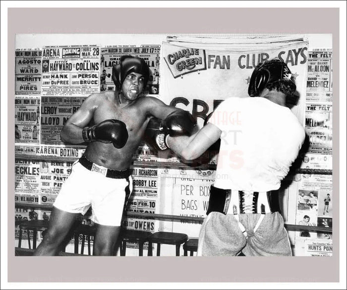 Muhammed Ali born Cassius Marcellus Clay - VINTAGEARTREPRINTS.COM