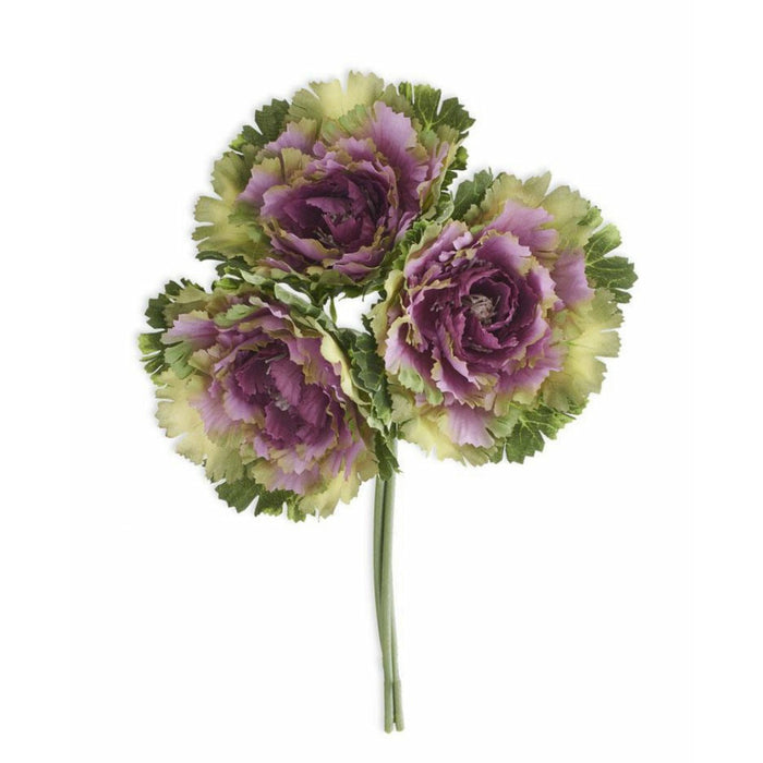 Purple Cabbage Bundle