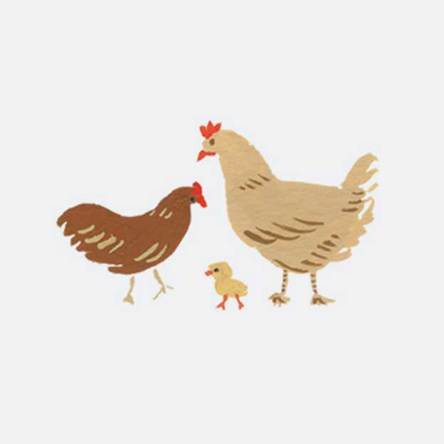 Animals Personalized Stationery  - Chickens
