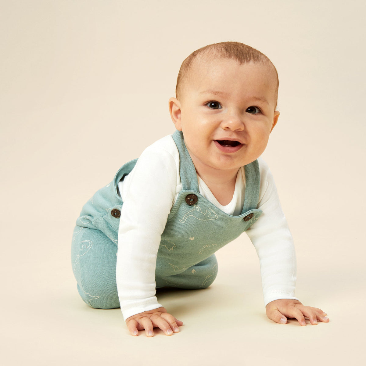 Dino Print Dungarees