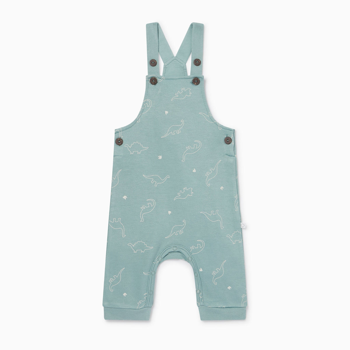 Dino Print Dungarees