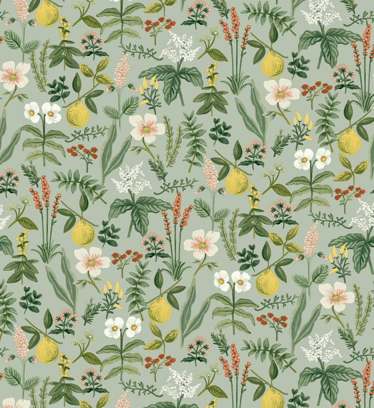 Herb Garden Peel & Stick Wallpaper Sample - Sage