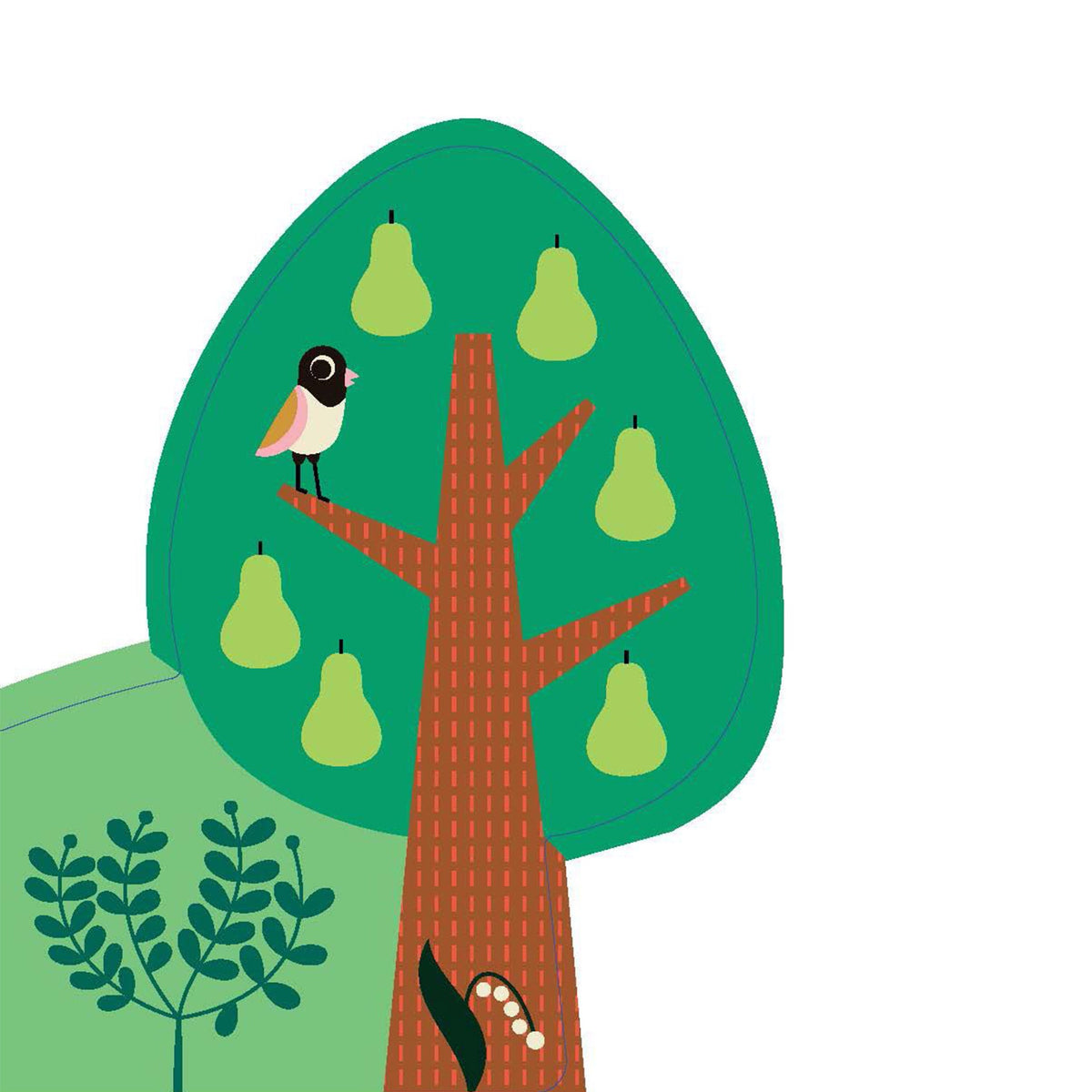 A Forest's Seasons Board Book