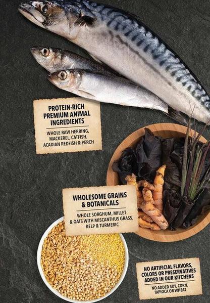 Acana Wholesome Grains Sea to Stream Dry Dog Food