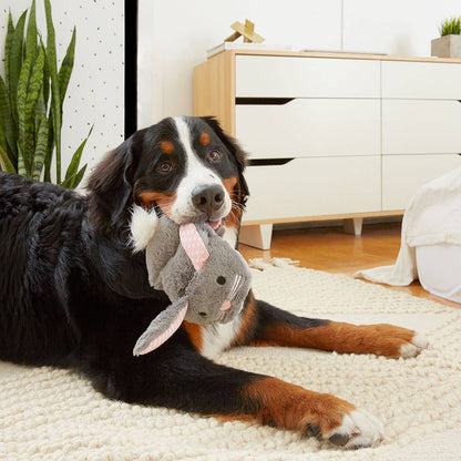 BARK Itty & Bitty the Bunny Slippers