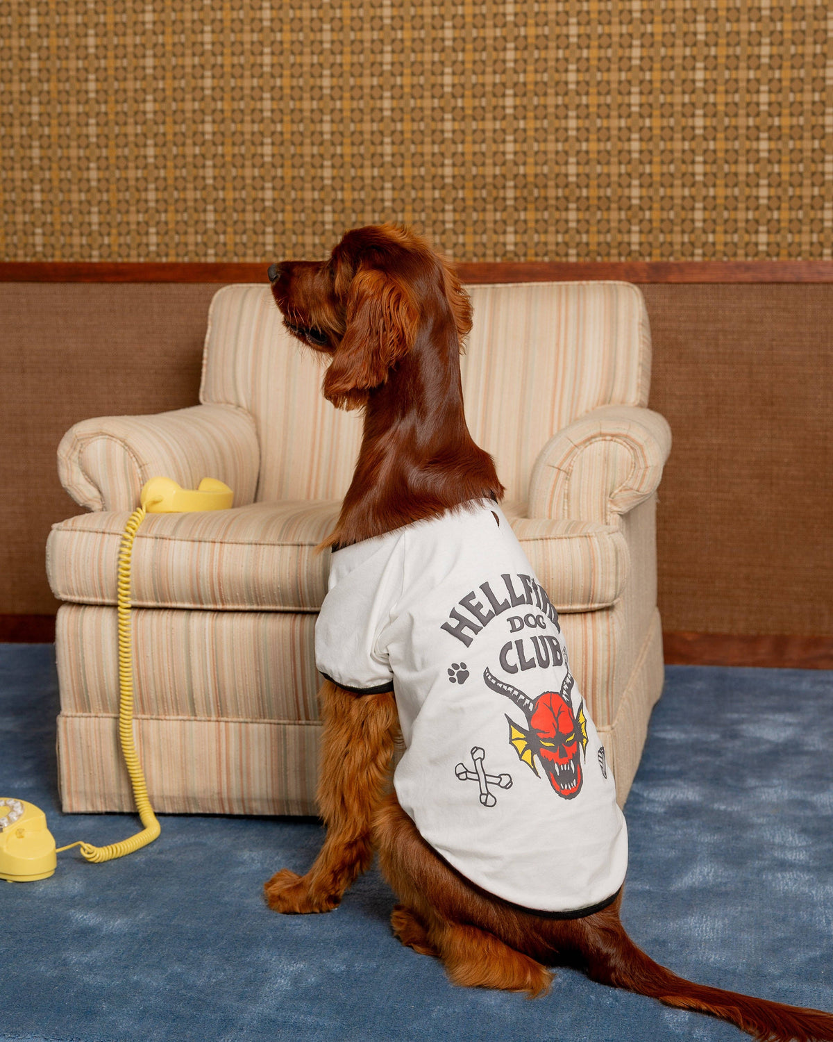 maxbone - Stranger Things x maxbone Hellfire Dog T-Shirt