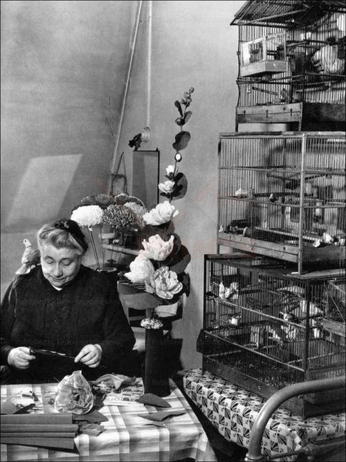 Elder Woman with Birds - VINTAGEARTREPRINTS.COM