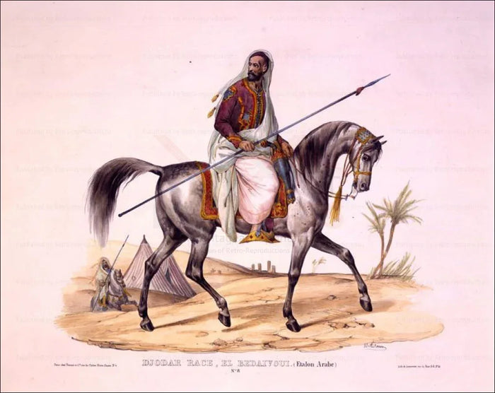 Etalon Arab Horse - VINTAGEARTREPRINTS.COM