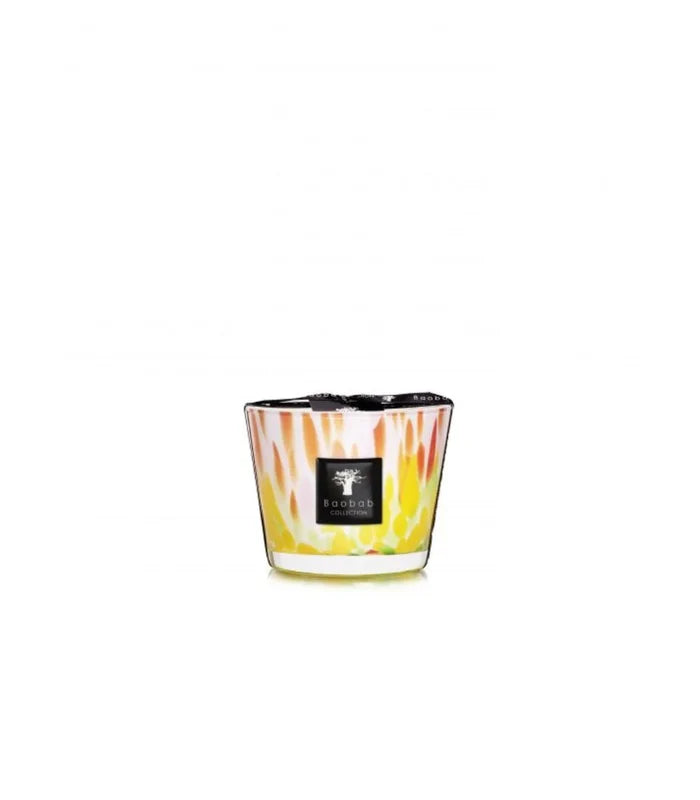 Garden Eden Fragrance Collection