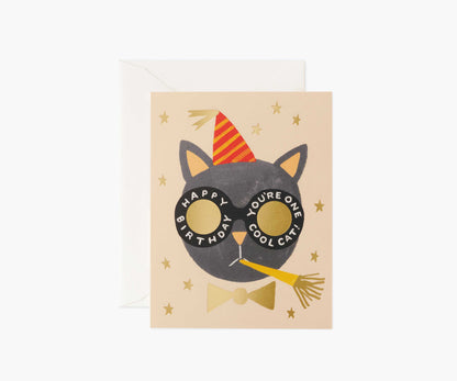 Birthday Cat Birthday Cards - Boxed Set