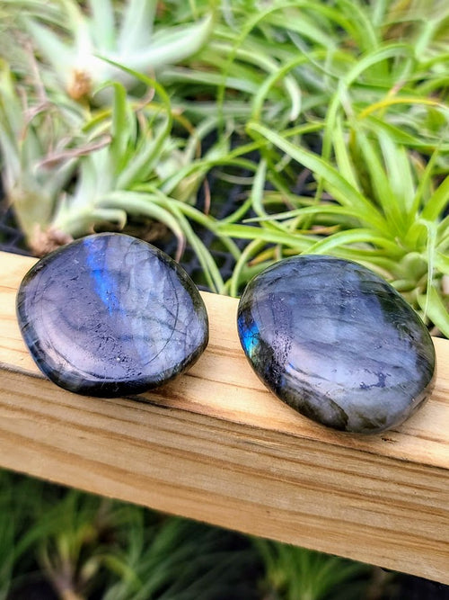 Labradorite Crystal Palm Stone