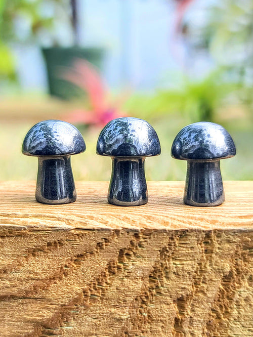 Mini Hematite Crystal Mushroom