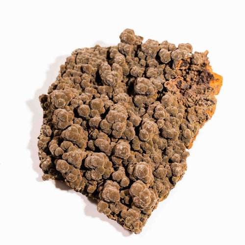Mottramite Specimen