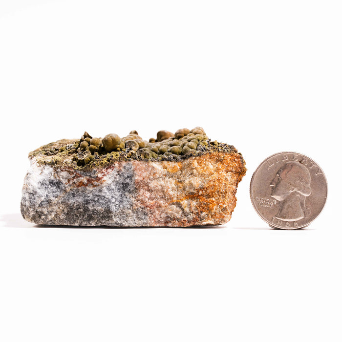 Mottramite Specimen