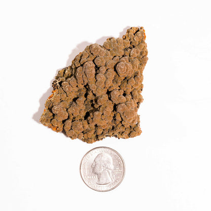 Mottramite Specimen