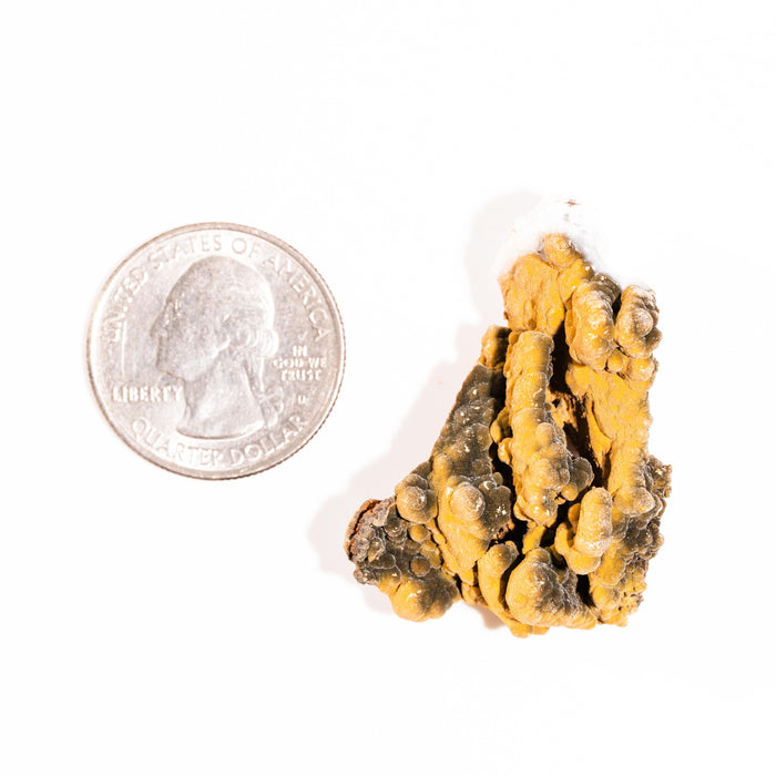 Mottramite Specimen