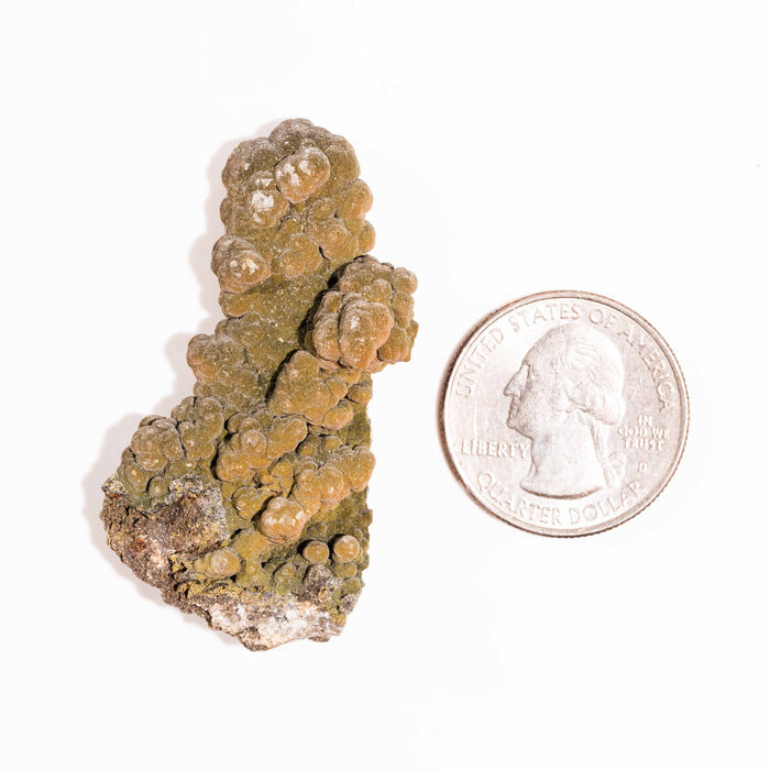 Mottramite Specimen