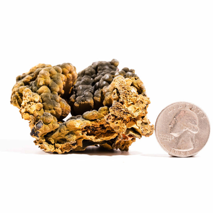 Mottramite Specimen