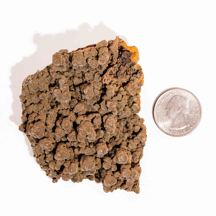 Mottramite Specimen