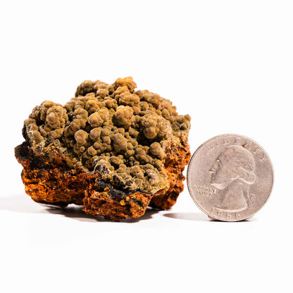 Mottramite Specimen