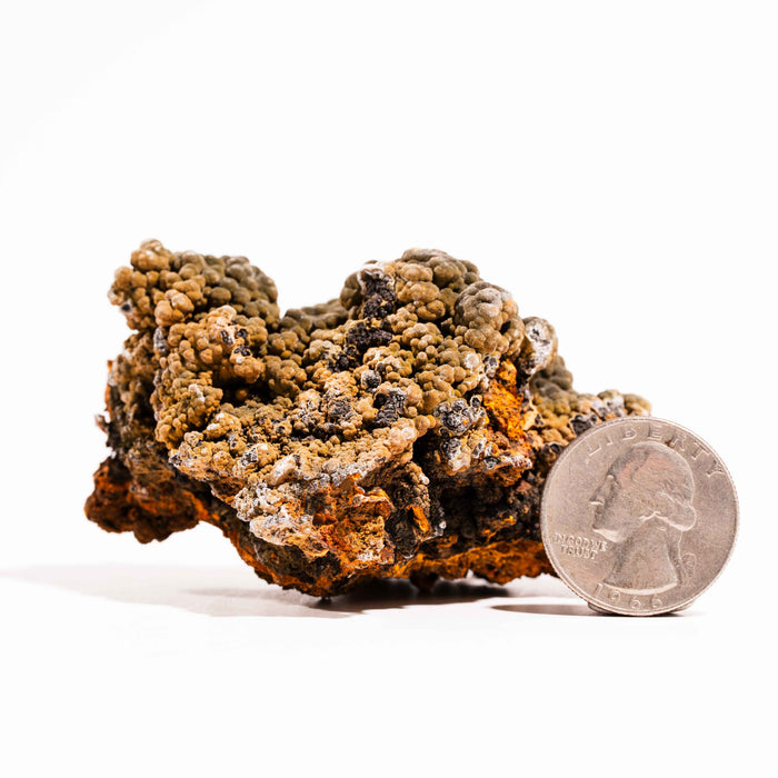 Mottramite Specimen