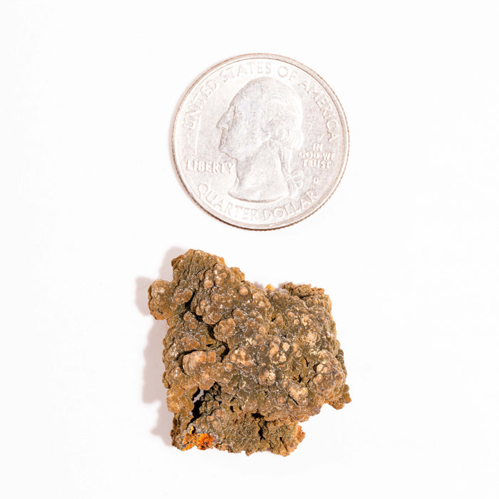 Mottramite Specimen