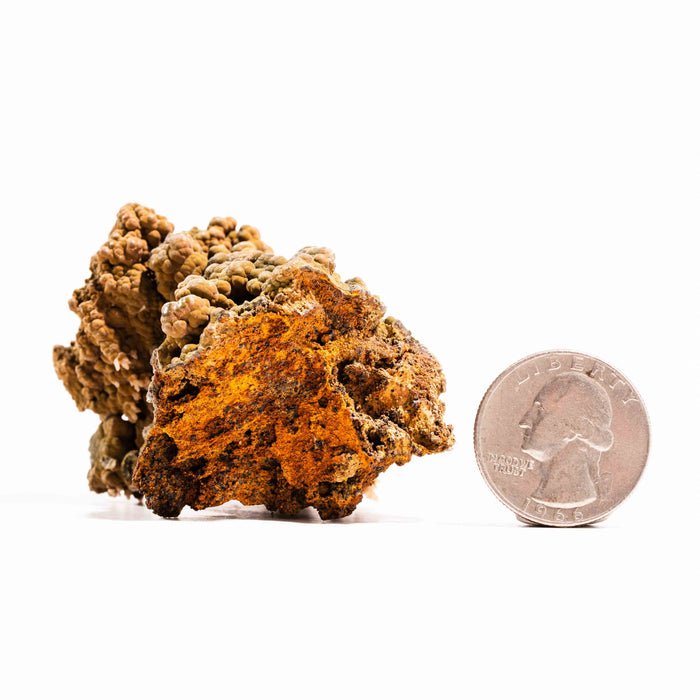 Mottramite Specimen