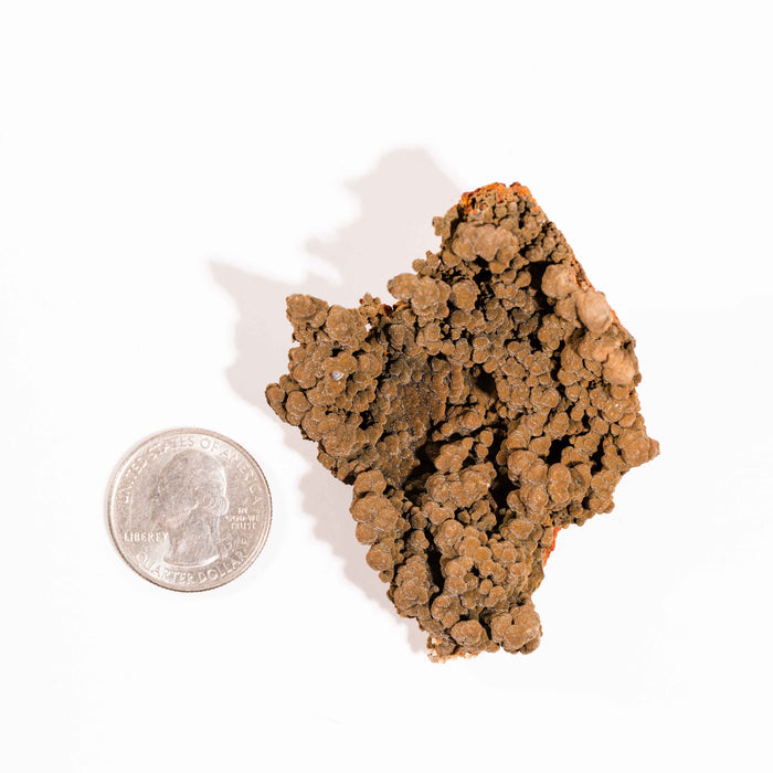 Mottramite Specimen