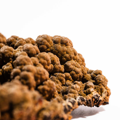 Mottramite Specimen
