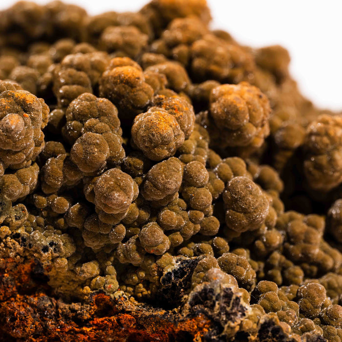 Mottramite Specimen