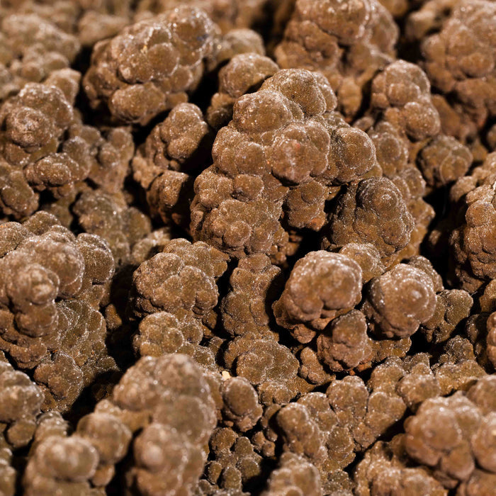 Mottramite Specimen