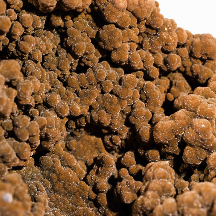 Mottramite Specimen