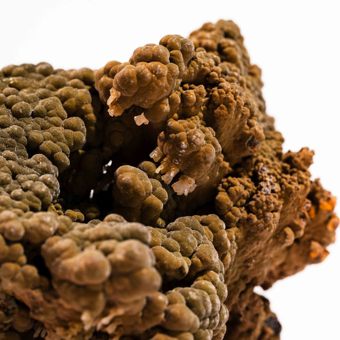 Mottramite Specimen