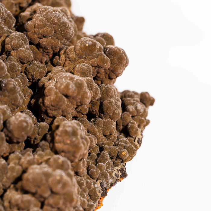Mottramite Specimen