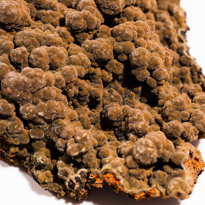 Mottramite Specimen
