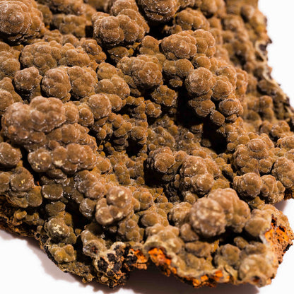 Mottramite Specimen
