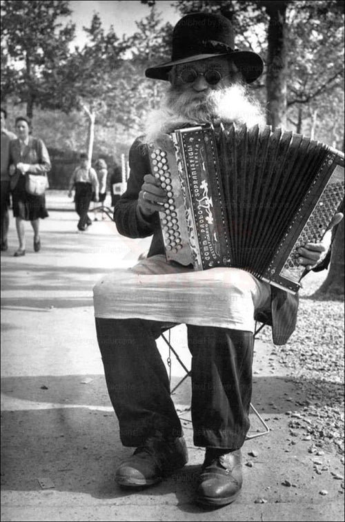 Old man playing Accordion - VINTAGEARTREPRINTS.COM