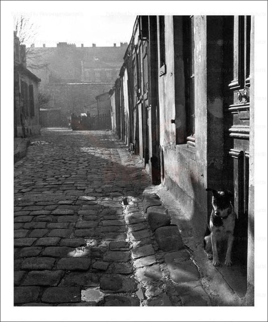 Rue d'Alesia - Paris street 1946 - VINTAGEARTREPRINTS.COM