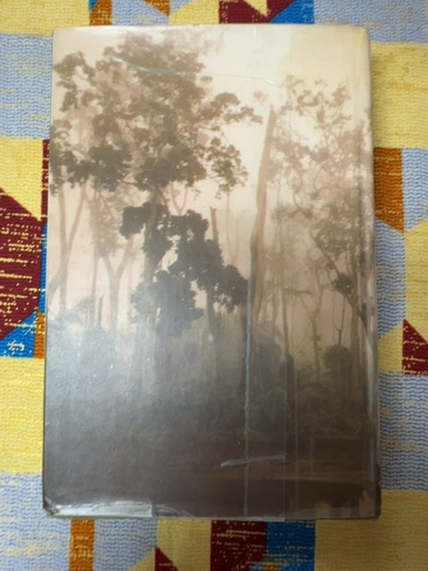 The river Congo back cover