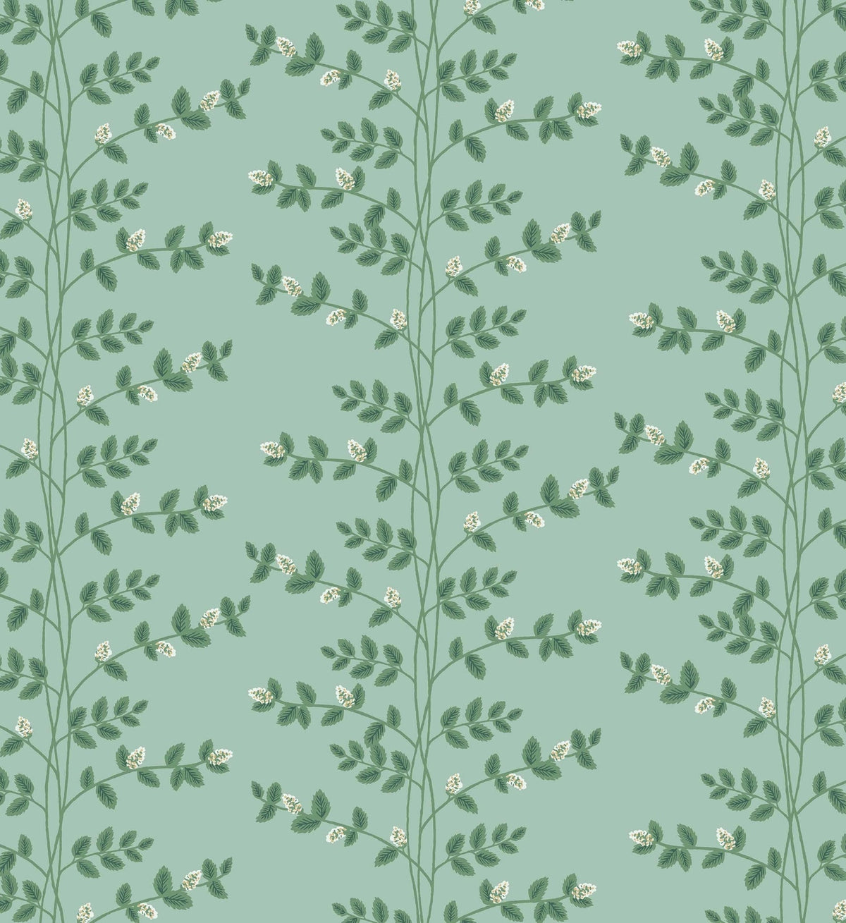 Climbing Vines Wallpaper - Teal