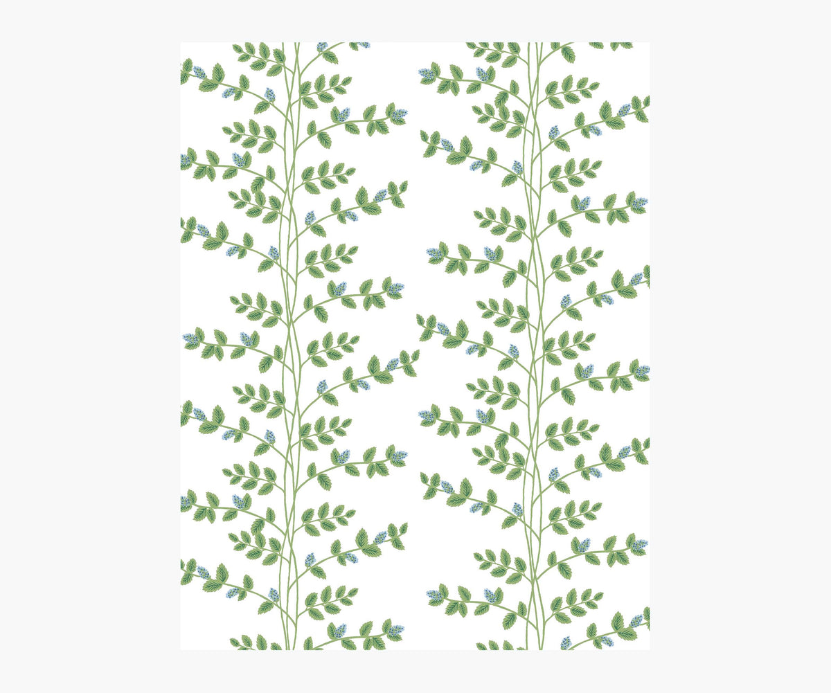 Climbing Vines Wallpaper Sample - White & Blue